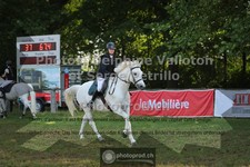ref. photo 3682420
