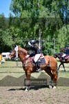 ref. photo 3682498