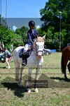 ref. photo 3682522