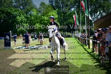 ref. photo 3682544