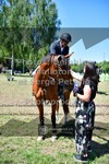 ref. photo 3682554