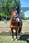 ref. photo 3682561