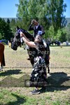 ref. photo 3682567