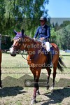 ref. photo 3682582