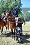 ref. photo 3682584