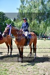 ref. photo 3682596