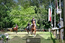 ref. photo 3682613