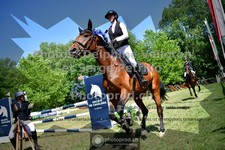 ref. photo 3682624