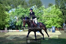 ref. photo 3682686