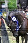 ref. photo 3209975