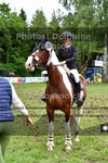 ref. photo 3210009