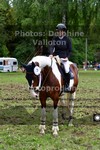 ref. photo 3210014