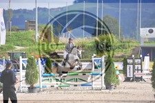 ref. photo 3779402