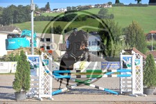 ref. photo 3779407