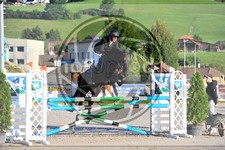 ref. photo 3779426