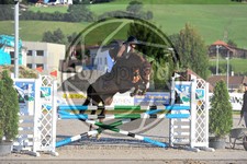 ref. photo 3779461