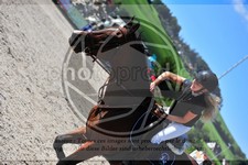 ref. photo 3779549