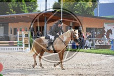 ref. photo 3779706