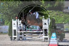 ref. photo 3779892