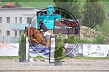 ref. photo 3779899