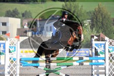 ref. photo 3779953