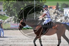 ref. photo 3780027