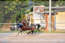 ref. photo 3780101