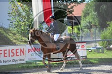 ref. photo 3780124