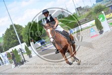 ref. photo 3780145