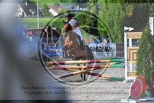 ref. photo 3780163