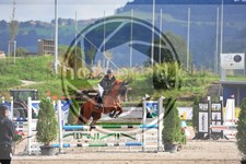 ref. photo 3780332
