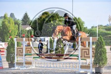 ref. photo 3780417