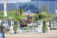ref. photo 3780522