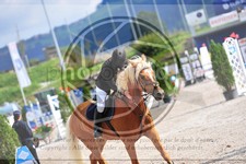 ref. photo 3780600