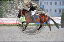 ref. photo 3780638