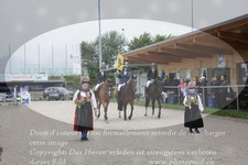 ref. photo 3314196