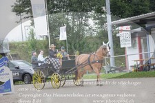 ref. photo 3314209