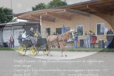 ref. photo 3314210