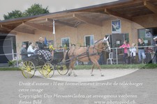 ref. photo 3314211