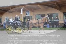 ref. photo 3314212