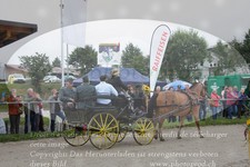 ref. photo 3314213
