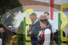 ref. photo 3314224