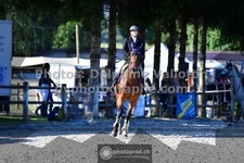 ref. photo 3314514