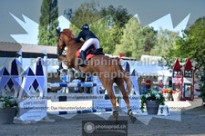 ref. photo 3315003
