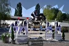ref. photo 3315008