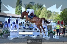 ref. photo 3315067