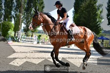 ref. photo 3315097