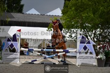 ref. photo 3315176