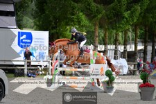ref. photo 3315179