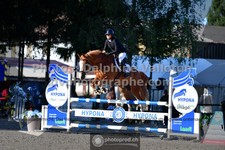 ref. photo 3315254